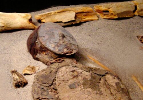 Ni Guanajuato, ni Egipto, estas son las momias más antiguas del mundo