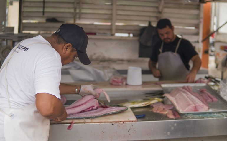 Mexicanos exigen saber el origen del pescado que consumen
