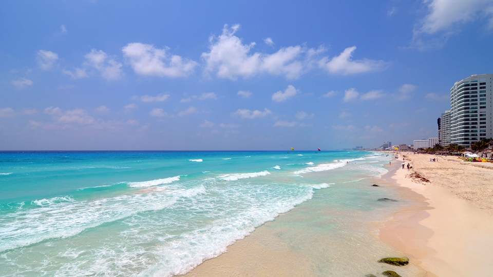 Cofepris detecta 14 playas con altos niveles de materia fecal