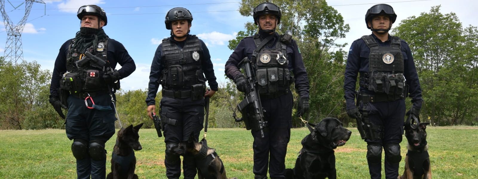SE PREPARA NUEVA GENERACIÓN DE K9 DE LA POLICÍA MUNICIPAL