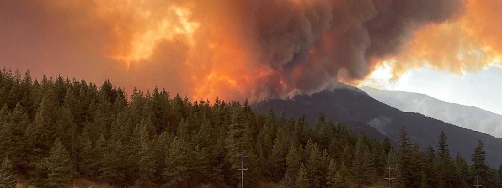 Columbia Británica en Canadá se declara en estado de emergencia tras fuertes incendios forestales