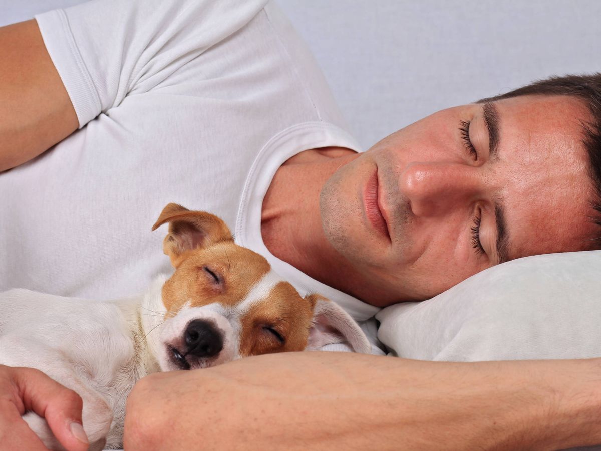 La razón por la que no deberías de dormir con tu mascota según este estudio