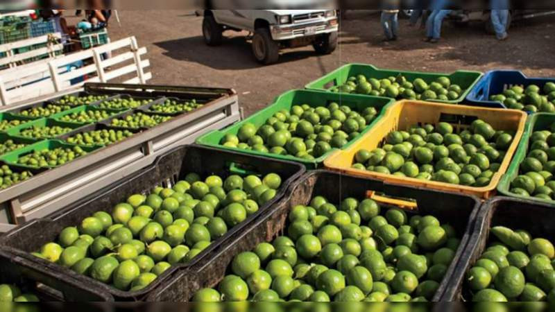 Crimen organizado mantiene secuestrada la actividad limonera en Apatzingán
