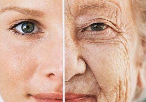 ¿A qué edad comienza a envejecer el cuerpo?