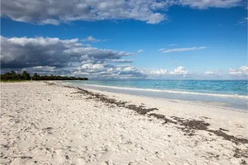 Playas de Campeche libres de enterococos según la Copriscam