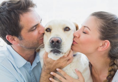 Los riesgos de besar a tu perro o gato