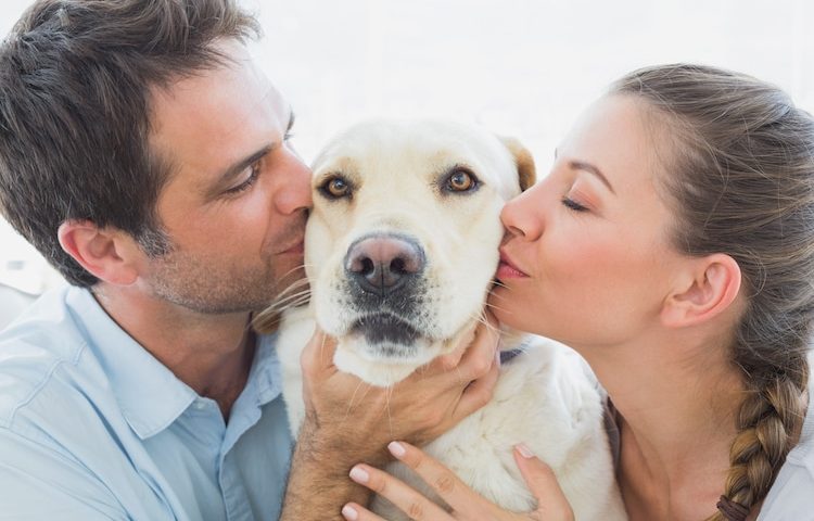 Los riesgos de besar a tu perro o gato