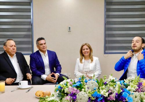 Senadora Lucía Meza renuncia a Morena, busca gubernatura con Frente Amplio