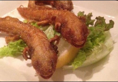 Restaurante japonés vendé ajolotes fritos por más de 300 pesos el platillo