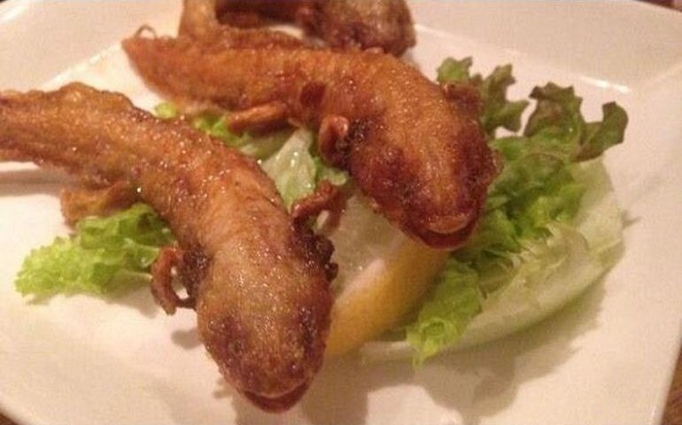 Restaurante japonés vendé ajolotes fritos por más de 300 pesos el platillo