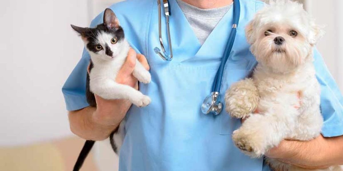 Reforma avala la creación de veterinarias publicas en el pais