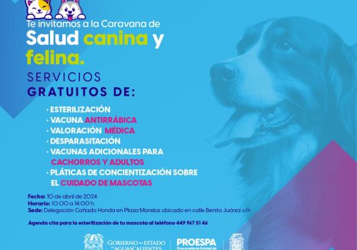 Caravana de la Salud Canina y Felina este 10 de abril.