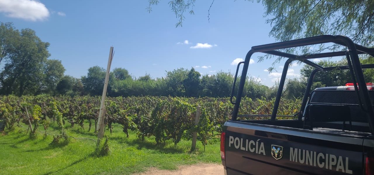 Realizan operativos de vigilancia en las zonas vinícolas de la entidad