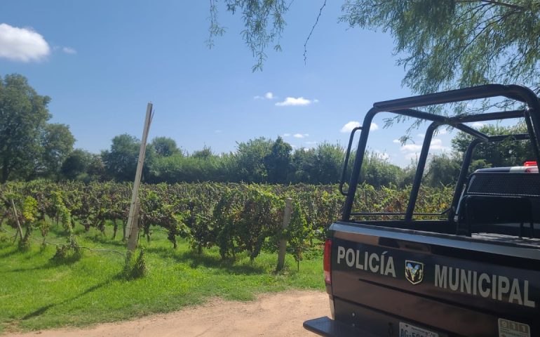 Realizan operativos de vigilancia en las zonas vinícolas de la entidad