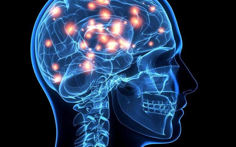 Estudio revela que el cerebro humano es cada vez más grande