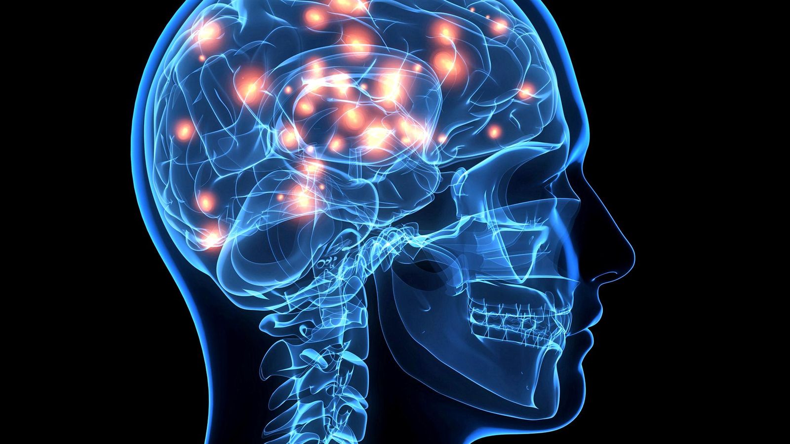 Estudio revela que el cerebro humano es cada vez más grande
